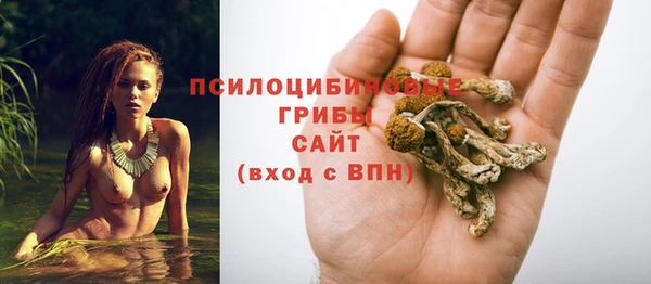 ECSTASY Беломорск