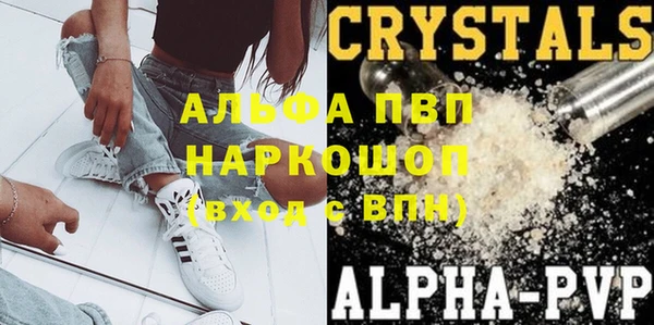 a pvp Белокуриха