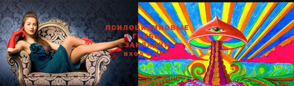 a pvp Белокуриха